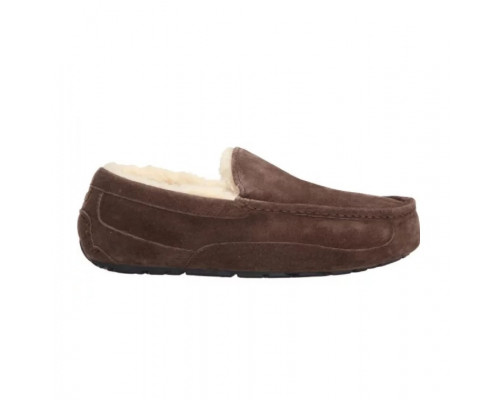UGG Mens Ascot Chocolate
