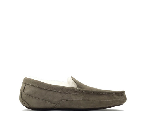 UGG Mens Ascot Taupe