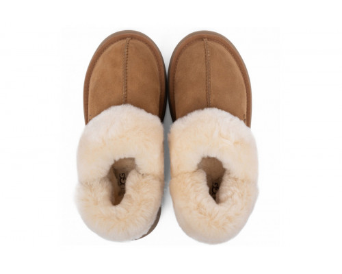 Ugg Slippers Disquette Chestnut