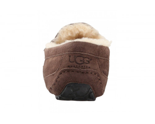UGG Mens Ascot Chocolate