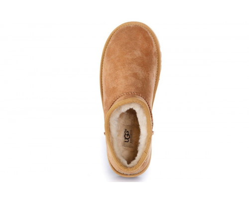 UGG Tasman Chestnut
