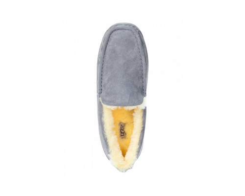UGG Mens Ascot Crey