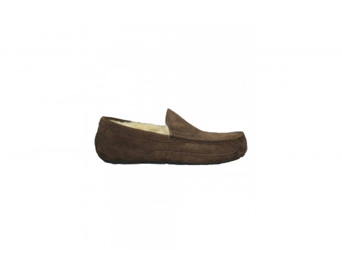 UGG Mens Ascot Chocolate